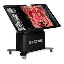 Virtual Dissection Table Model 1